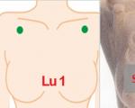 Hieronta rintojen suurentamiseen: hierontatyypit, toteutussäännöt Hieronta rintojen suurentamiseen