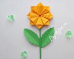 Origami ziedi: daudzi MK no kaktusa līdz burvju rozei