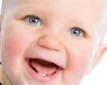 At what months does a baby's first teeth appear?