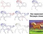 Kā pa posmiem uzzīmēt īstu zirgu ar zīmuli iesācējiem un bērniem?