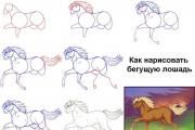 Hur man ritar en riktig häst med en penna i etapper för nybörjare och barn?