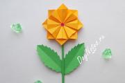 Flores de origami: muchos MK, desde cactus hasta rosas mágicas