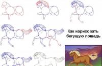 Hur man ritar en riktig häst med en penna i etapper för nybörjare och barn?